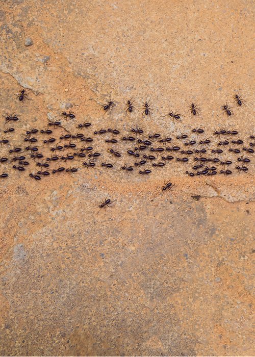 1297751271 1297751271