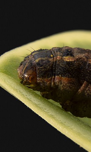 1441584619 1441584619