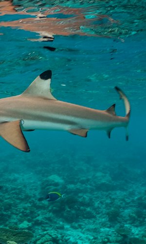 2228517124 2228517124