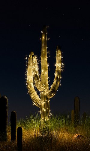 1360498045 1360498045