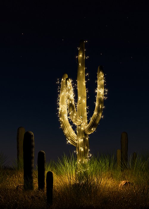 1360498045 1360498045