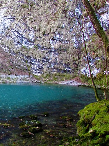 Wild lake, Slovenia