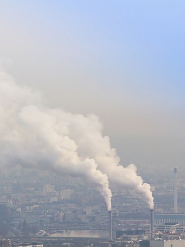 Exhausts and smog