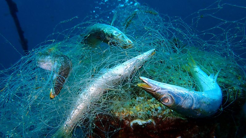 Ghost fishing nets