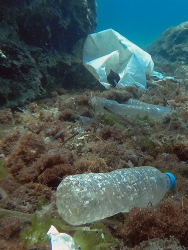 Bottles on the seabed