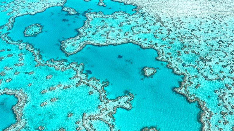 Grande Barriera Corallina