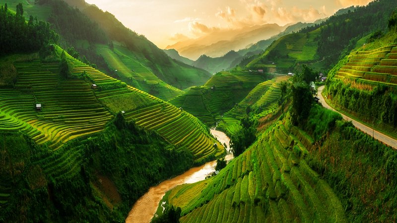 Risaie terrazzate in Vietnam