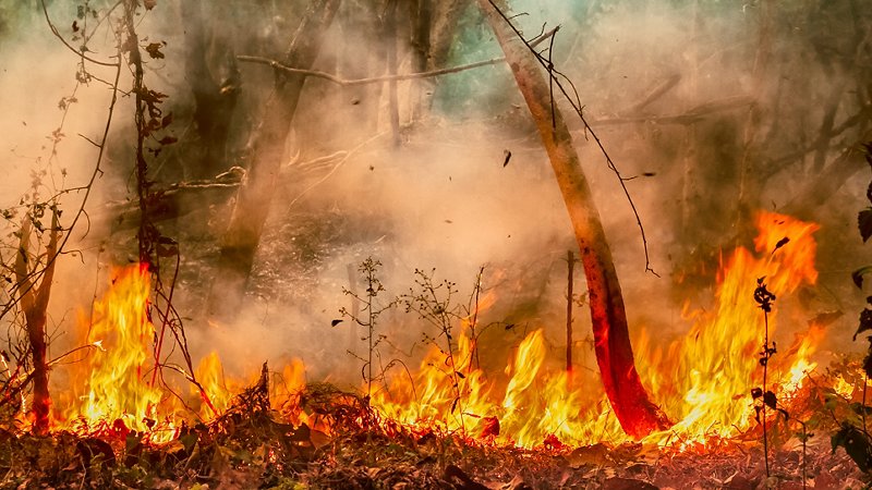 Incendio in Amazzonia