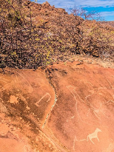 Incisioni rupestri in Namibia