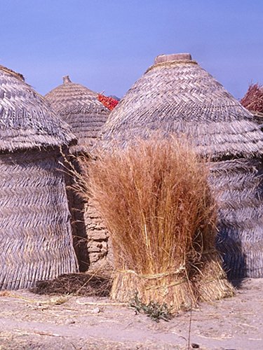 Village in Cameroon
