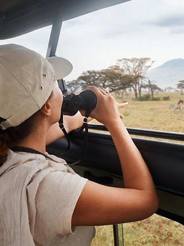 Photographic safari