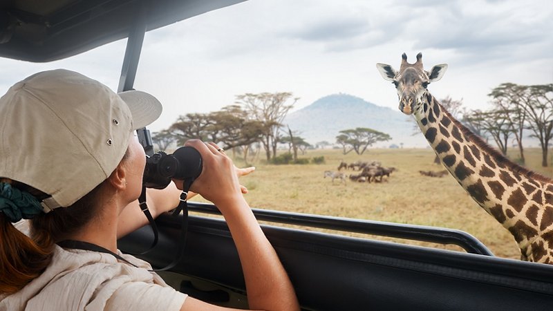 Photographic safari