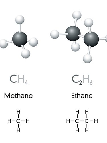Examples of hydrocarbons