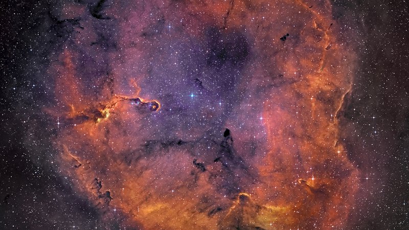 Nebulosa Tronco di Elefante