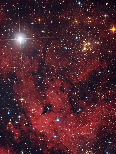 Nebulosa Cigno