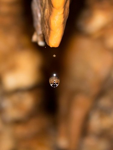 Growing stalactite