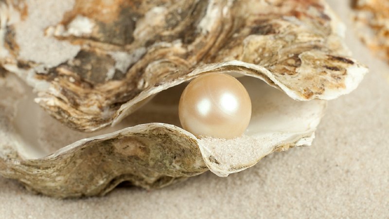 Pearl in the oyster