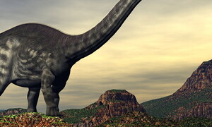 Un dinosauro che vale come tre Ferrari F40