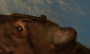 Ritrovato un cucciolo di tigre dai denti a sciabola nel ghiaccio