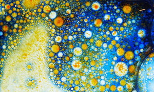 Microbi che sfidano il tempo