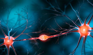 Scoperto un meccanismo di calcolo cerebrale mai visto prima