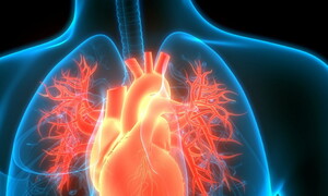 Il battito delle emozioni