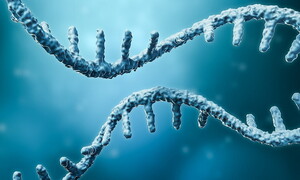 Un microNobel per la medicina