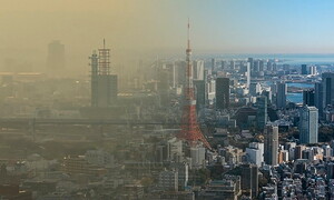 Air quality: new WHO guidelines