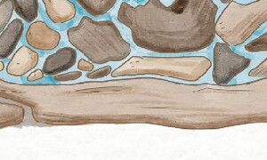 Giornata Mondiale dell’Acqua 2022