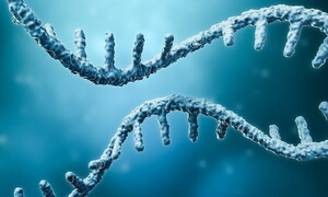 A micro-Nobel for medicine