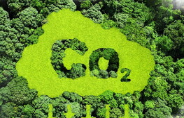 Tecnologie per la rimozione di CO2: quali prospettive?