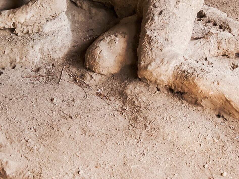 Decoding pompeian DNA