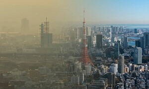 Air quality: new WHO guidelines