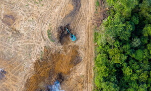 Deforestazione inarrestabile: nel 2020 persi oltre 12 milioni di ettari