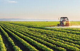 Pubblicato il dossier "Stop pesticidi 2021"
