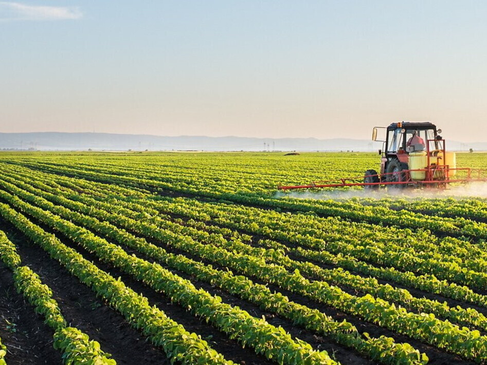 Pubblicato il dossier "Stop pesticidi 2021"