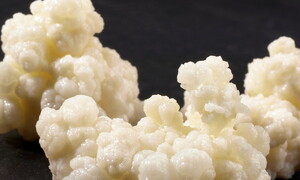 La verità sul Fantasma Formaggino