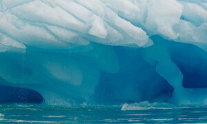 Alla scoperta dei cavalieri dei ghiacci