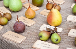 Pubblicato il Global Biodiversity Outlook