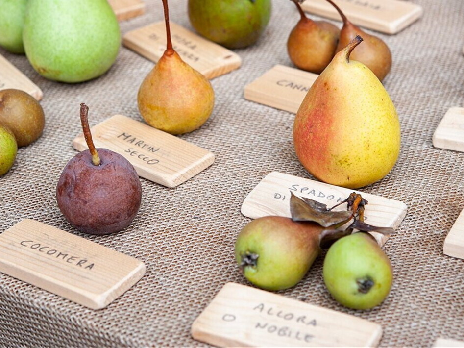 Pubblicato il Global Biodiversity Outlook