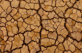 Giornata mondiale contro la desertificazione e la siccità