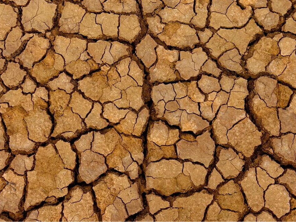 Giornata mondiale contro la desertificazione e la siccità