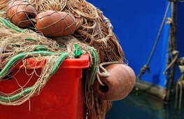 First Sustainable Fishing Week in Italy