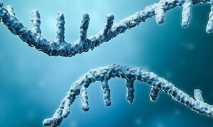 A micro-Nobel for medicine