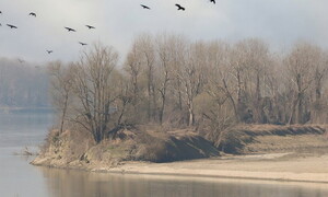 Drought in Italy: Legambiente proposes strategy for action