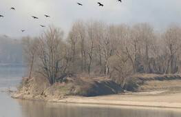 Drought in Italy: Legambiente proposes strategy for action