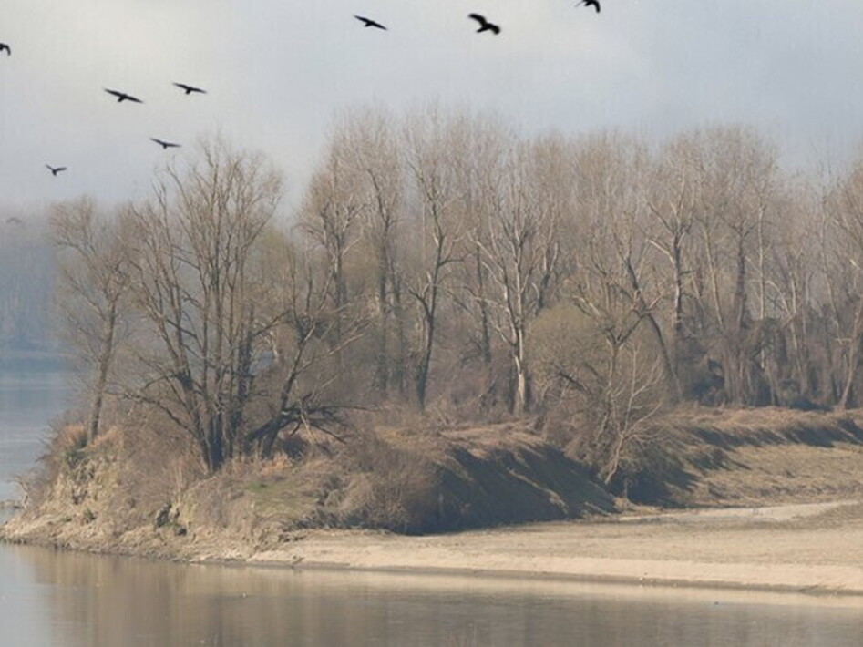 Drought in Italy: Legambiente proposes strategy for action 