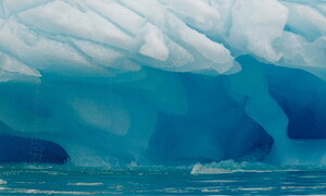 Alla scoperta dei cavalieri dei ghiacci