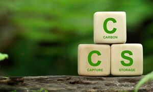 A new milestone in CO2 fixation 