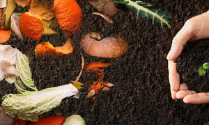 Let's compost properly! 